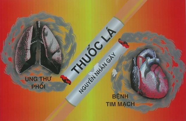 Ngành Hải quan triển khai hoạt động phòng, chống tác hại của thuốc lá